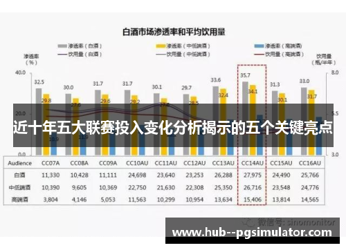 近十年五大联赛投入变化分析揭示的五个关键亮点